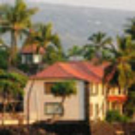 Restauracja Lawendowa