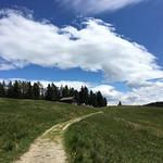 Green Way