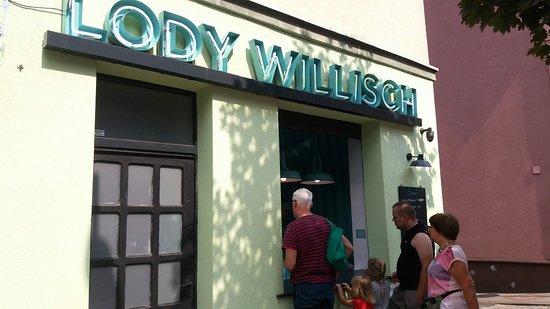 Willisch