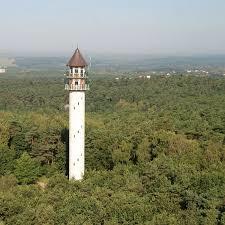 Dziewicza Góra